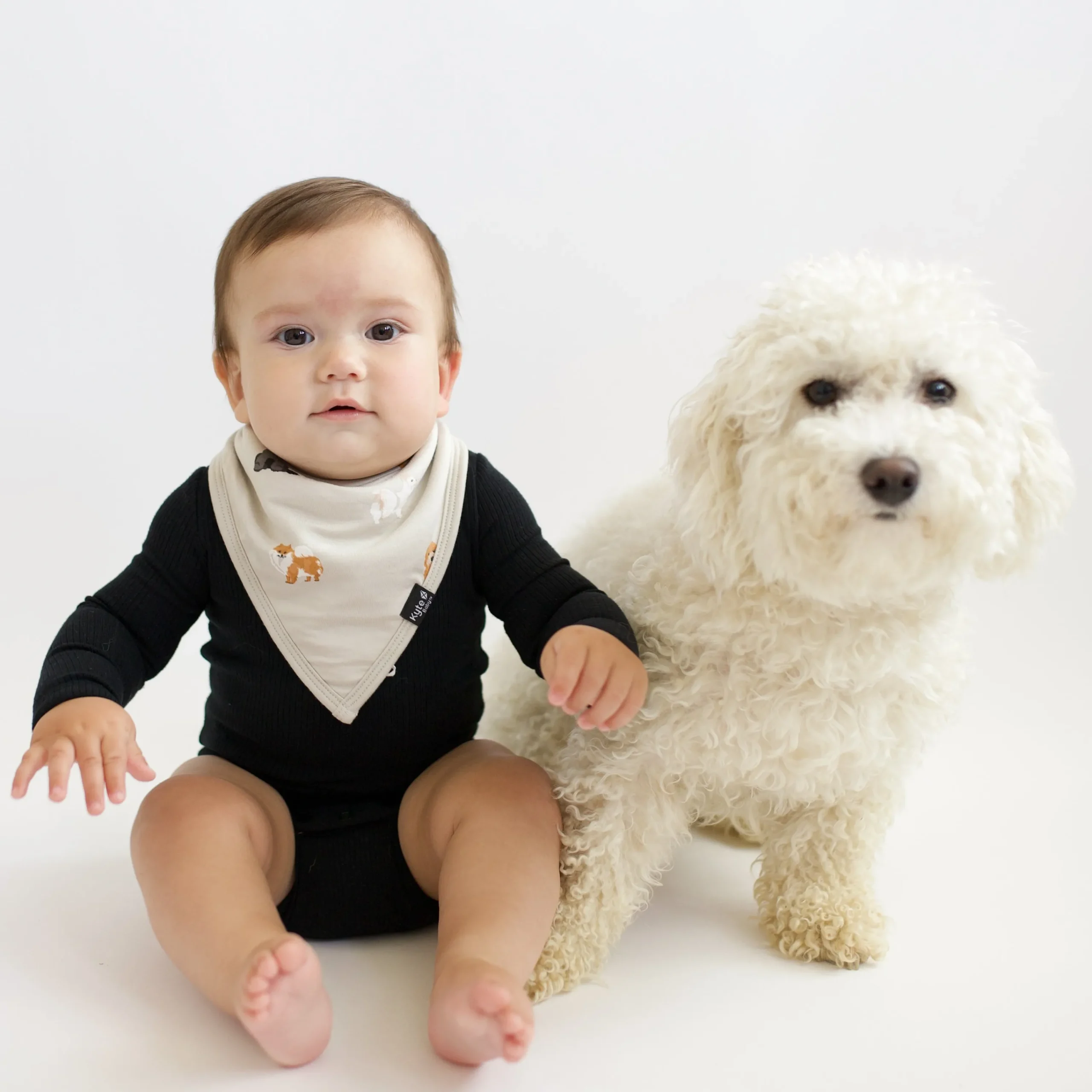 Kyte Baby Bib in Fluffy Dog Outlet