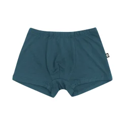 Kyte Baby Briefs in Atlantic Best