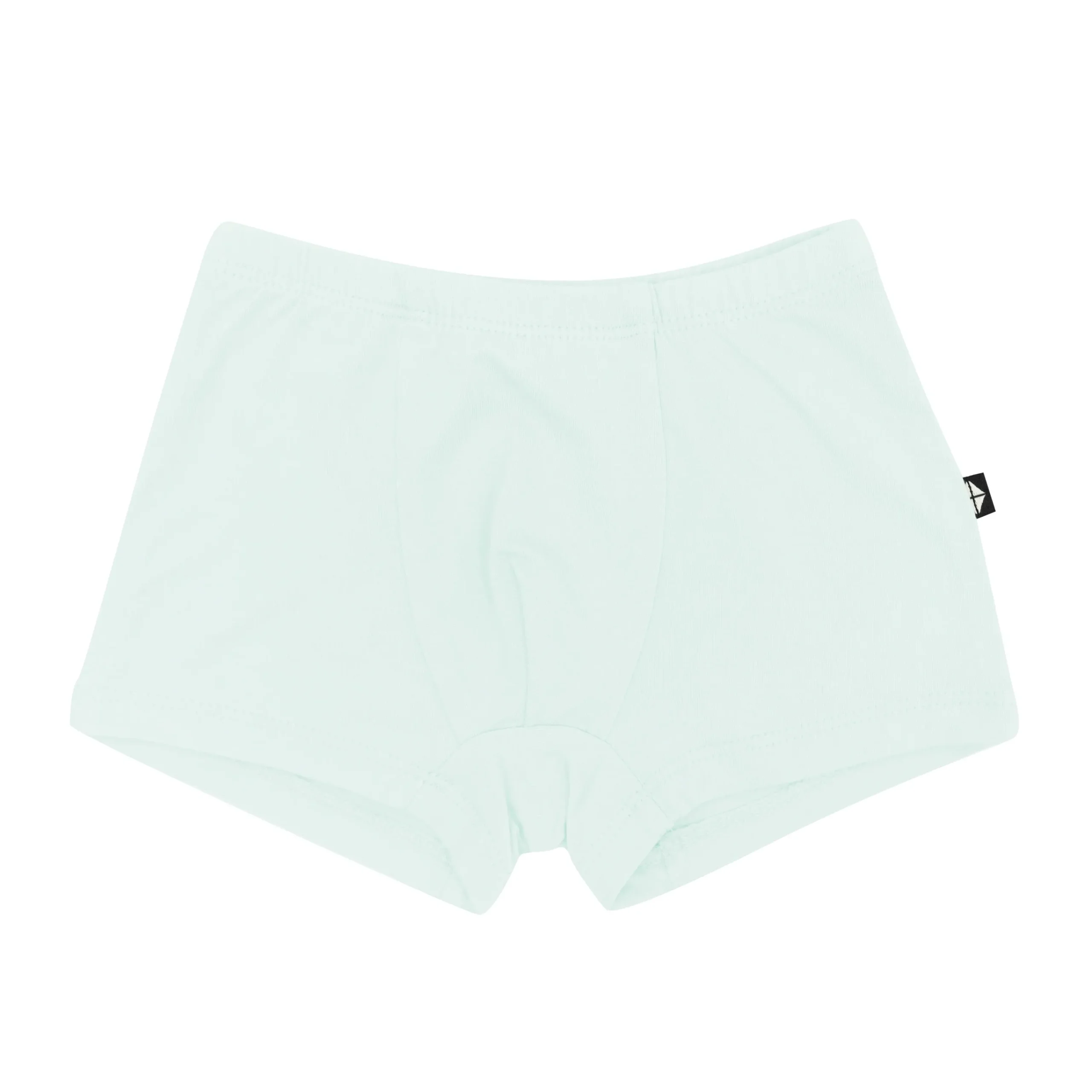 Kyte Baby Briefs in Dew Outlet