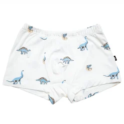 Kyte Baby Briefs in Jurassic Sale