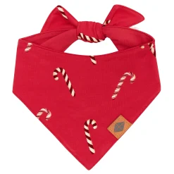Kyte Baby Dog Bandana in Candy Cane