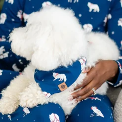 Kyte Baby Dog Bandana in Frosty Friends Clearance