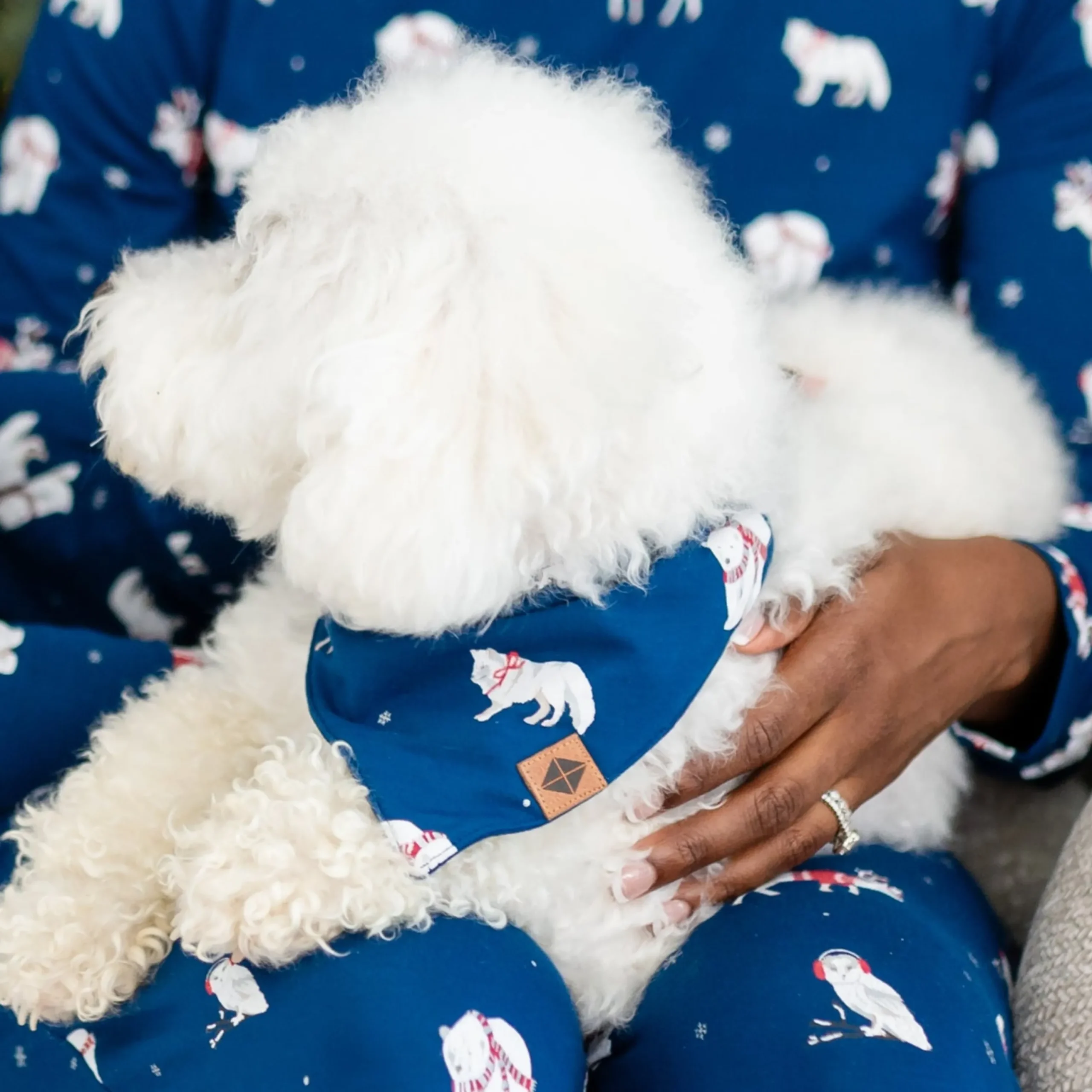 Kyte Baby Dog Bandana in Frosty Friends Clearance