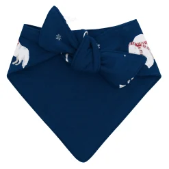 Kyte Baby Dog Bandana in Frosty Friends Clearance