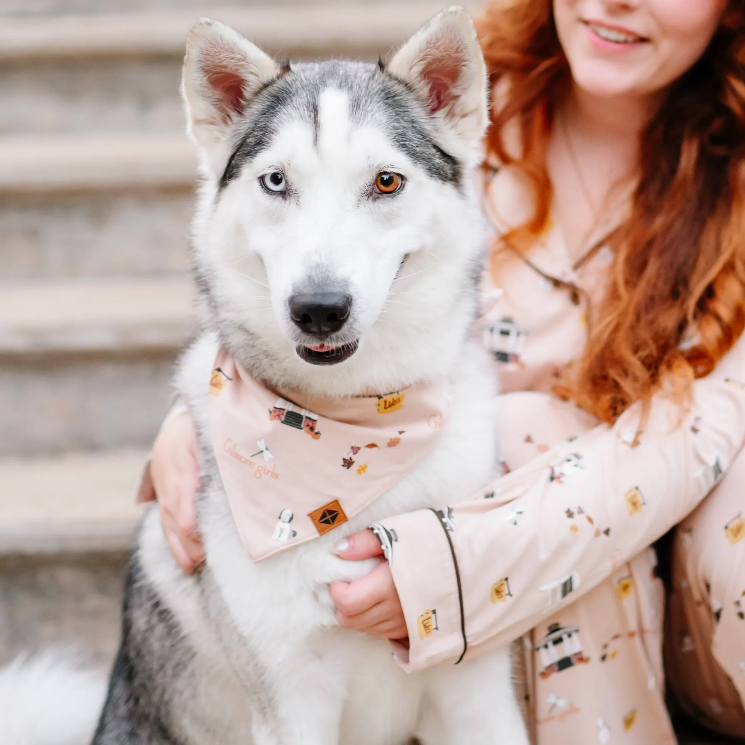 Kyte Baby Dog Bandana in Gilmore Girls Online