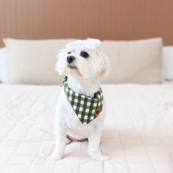 Kyte Baby Dog Bandana in Gingham Fir Outlet