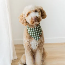 Kyte Baby Dog Bandana in Gingham Fir Outlet