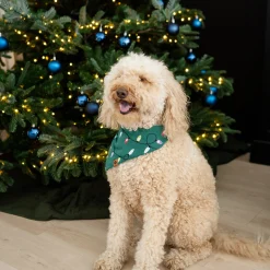 Kyte Baby Dog Bandana in Merry and Bright