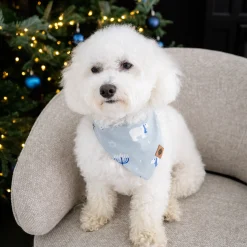 Kyte Baby Dog Bandana in Polar Lights Discount