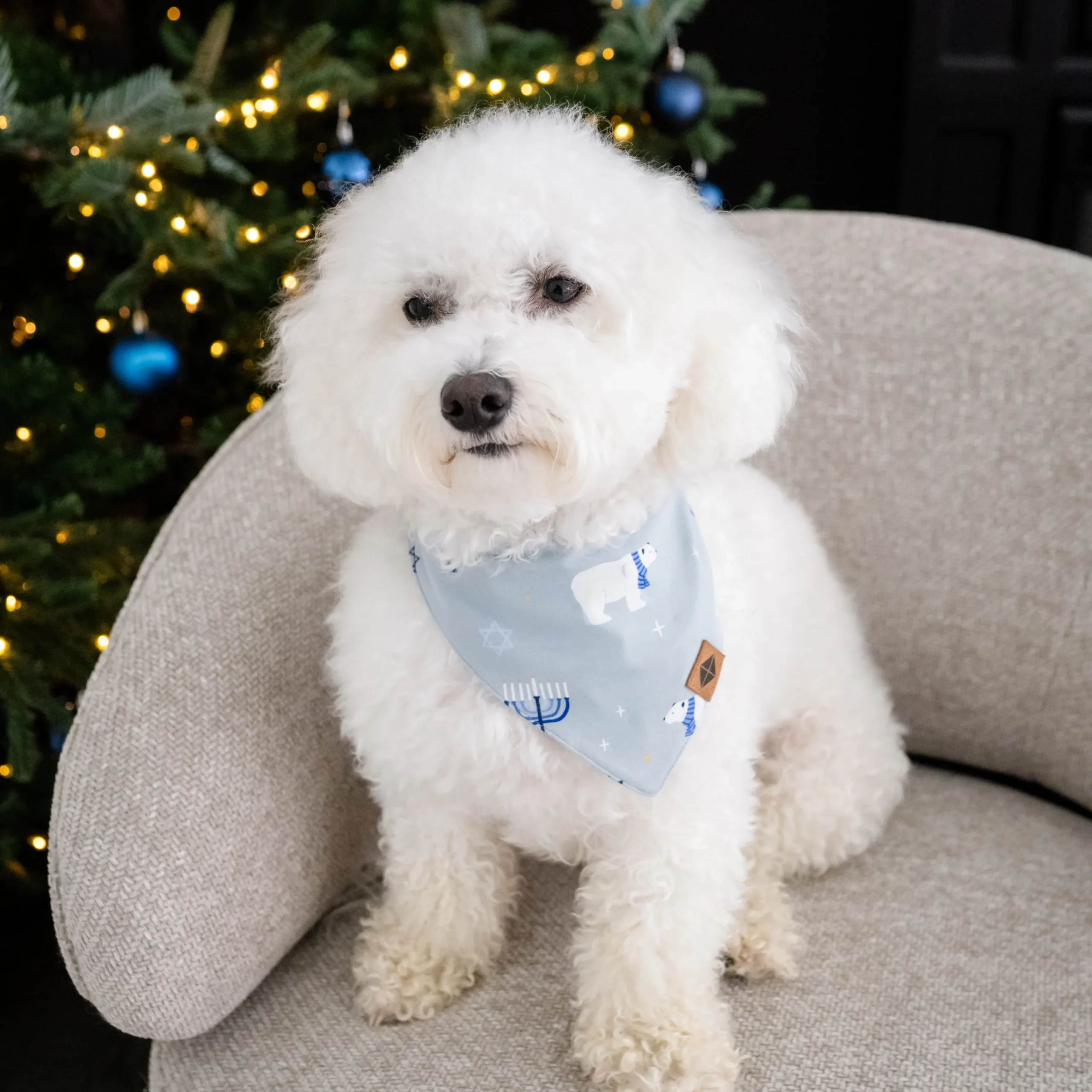 Kyte Baby Dog Bandana in Polar Lights Discount