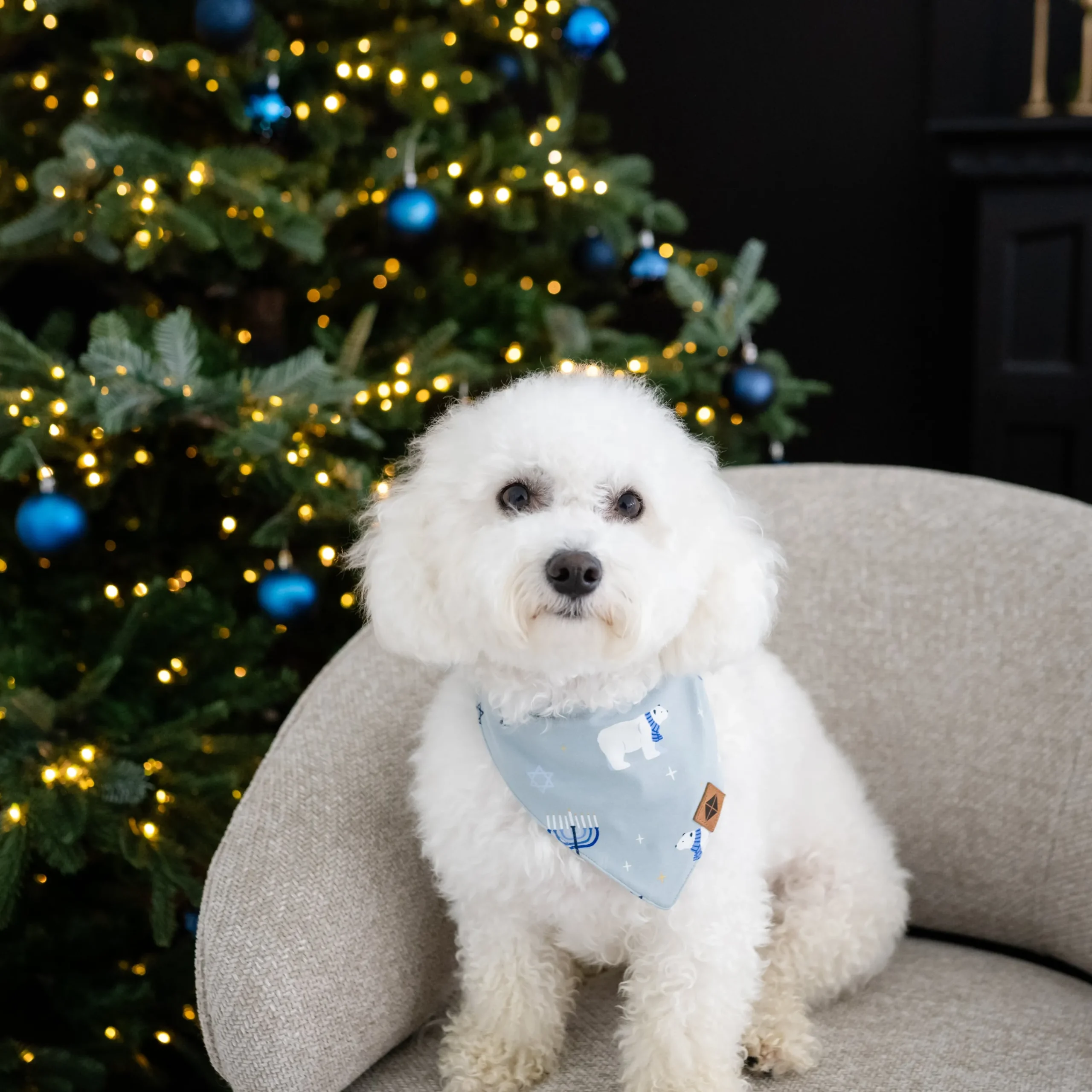 Kyte Baby Dog Bandana in Polar Lights Discount