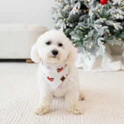 Kyte Baby Dog Bandana in Santa Sleigh Online