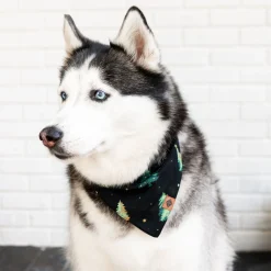 Kyte Baby Dog Bandana in Twinkle Tree Best