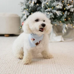 Kyte Baby Dog Bandana in Vintage Santa Outlet