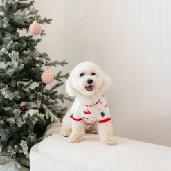 Kyte Baby Dog Tee in Santa Sleigh Clearance