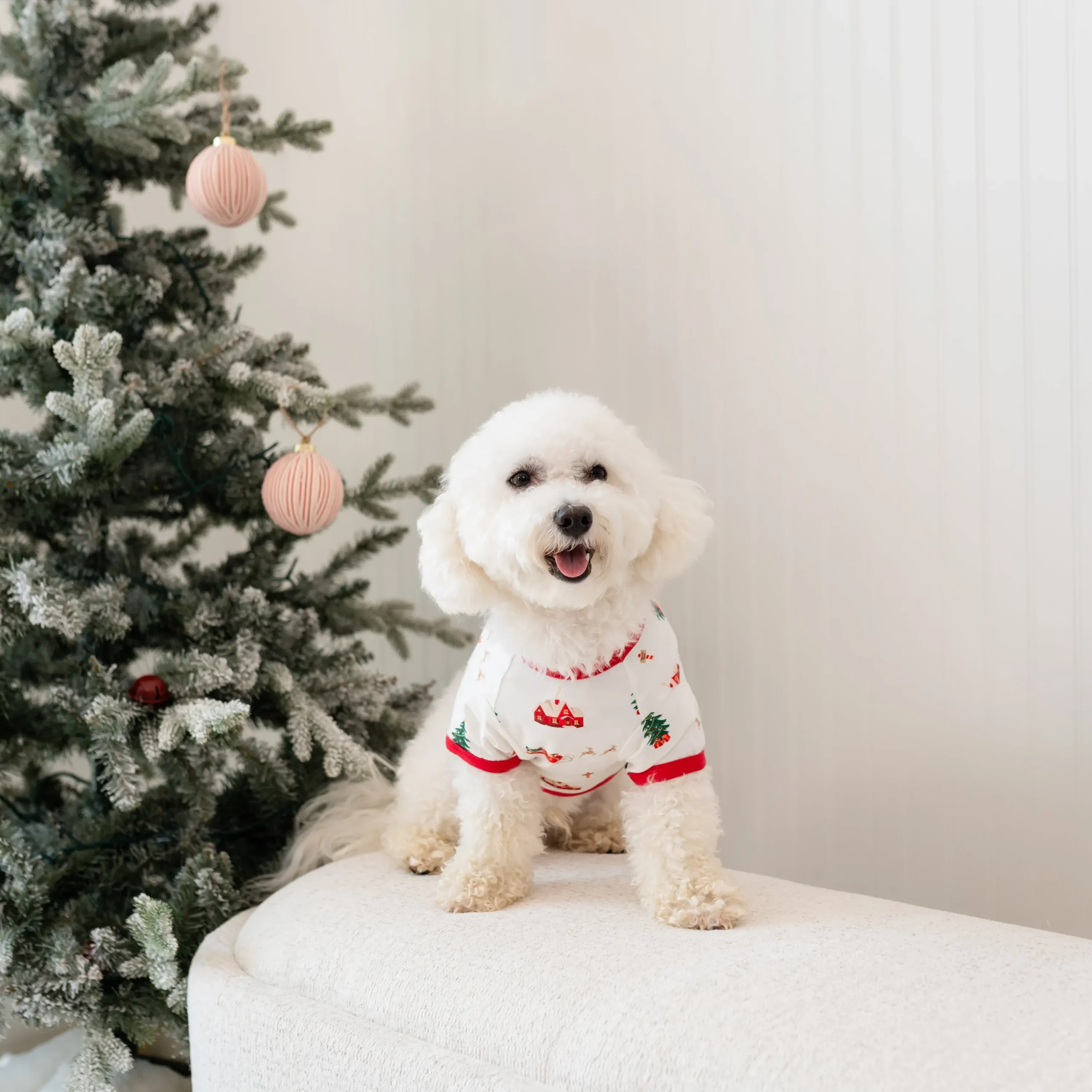 Kyte Baby Dog Tee in Santa Sleigh Clearance