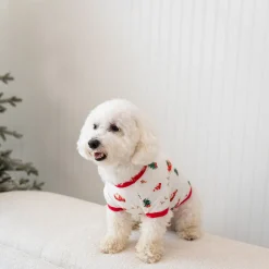Kyte Baby Dog Tee in Santa Sleigh Clearance