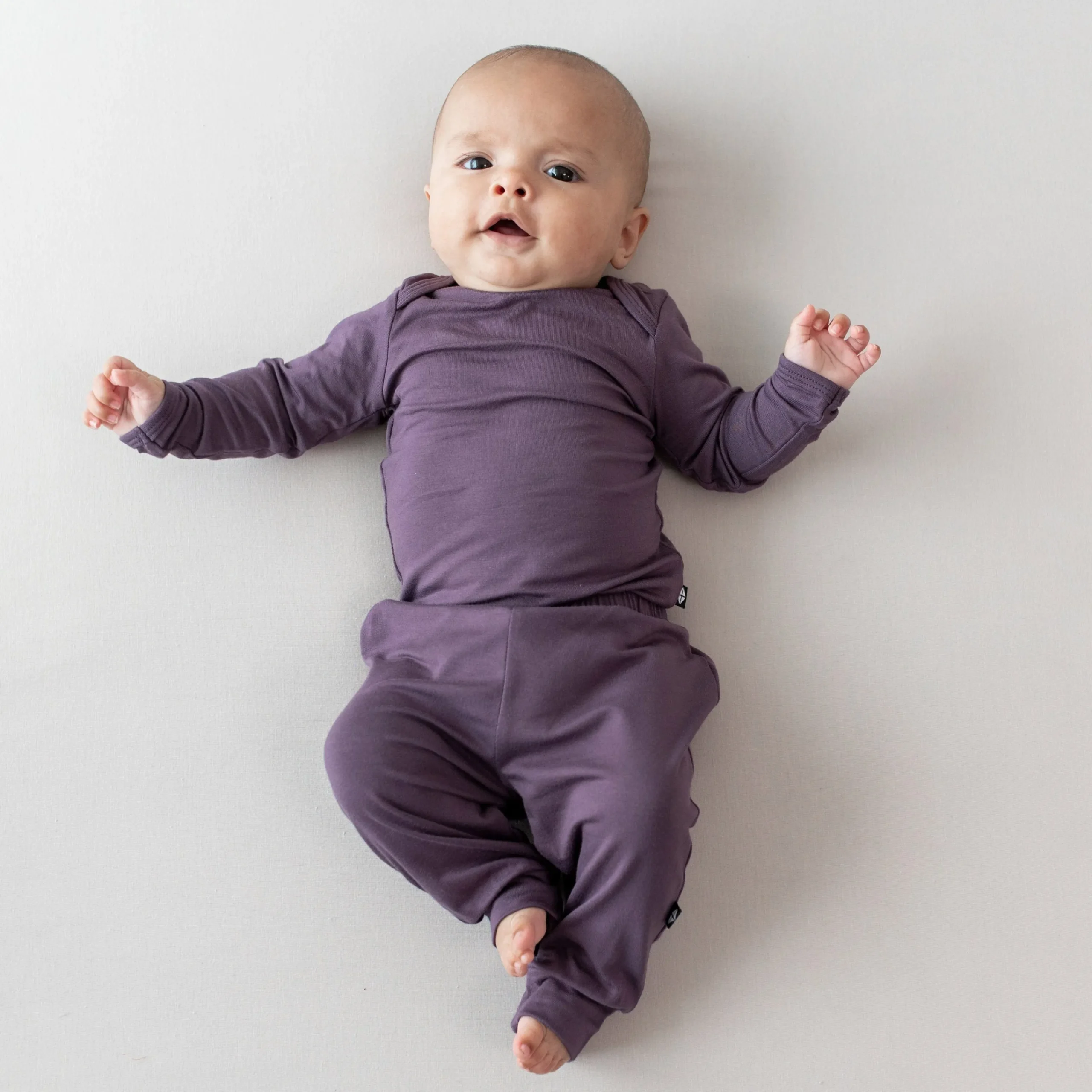 Kyte Baby Long Sleeve Bodysuit in Currant Outlet