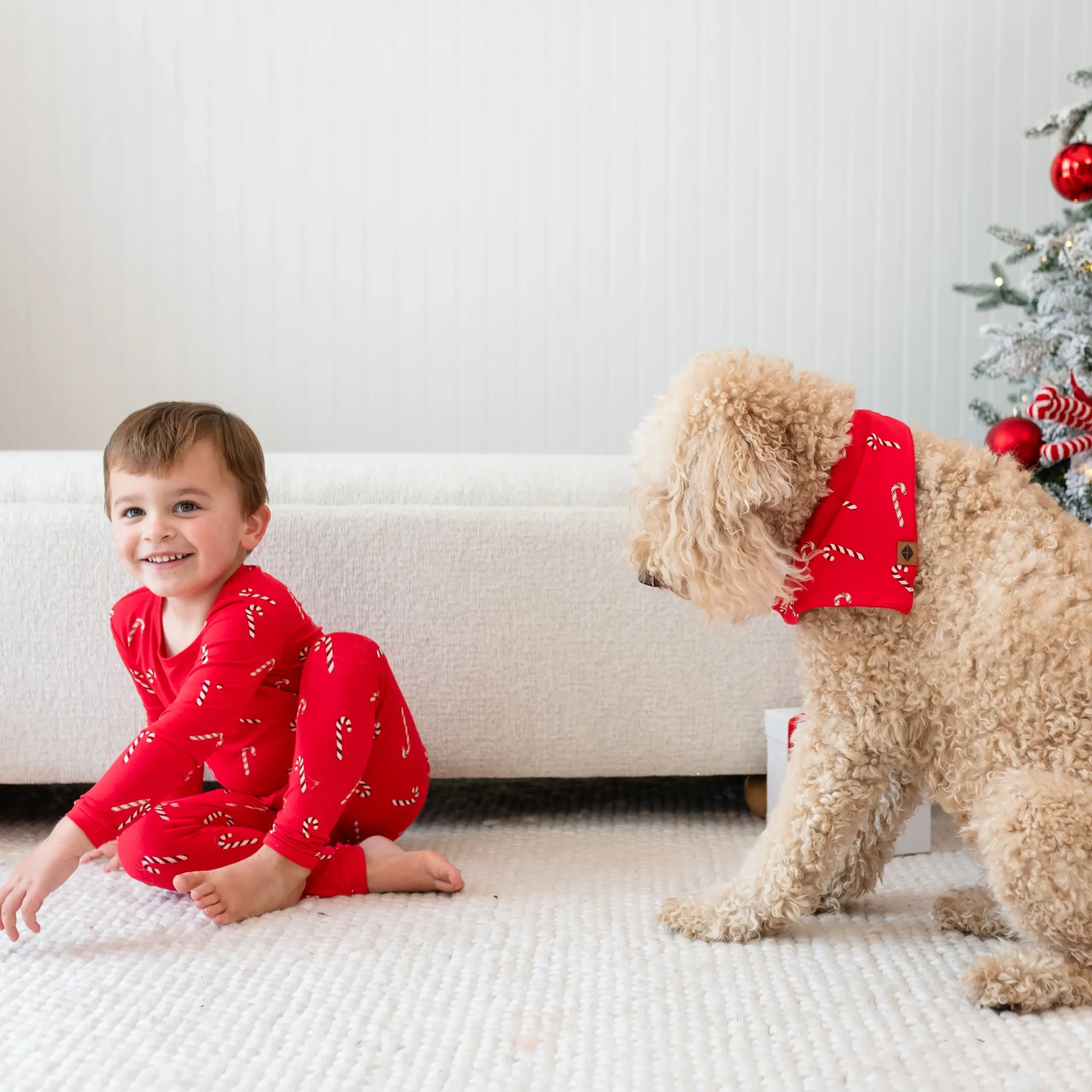Kyte Baby Long Sleeve Pajamas in Candy Cane Best