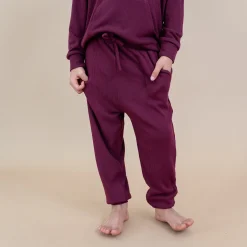Kyte Baby Ribbed Jogger Pant in Burgundy Outlet