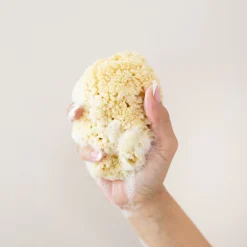 Kyte Baby Sea Sponge New