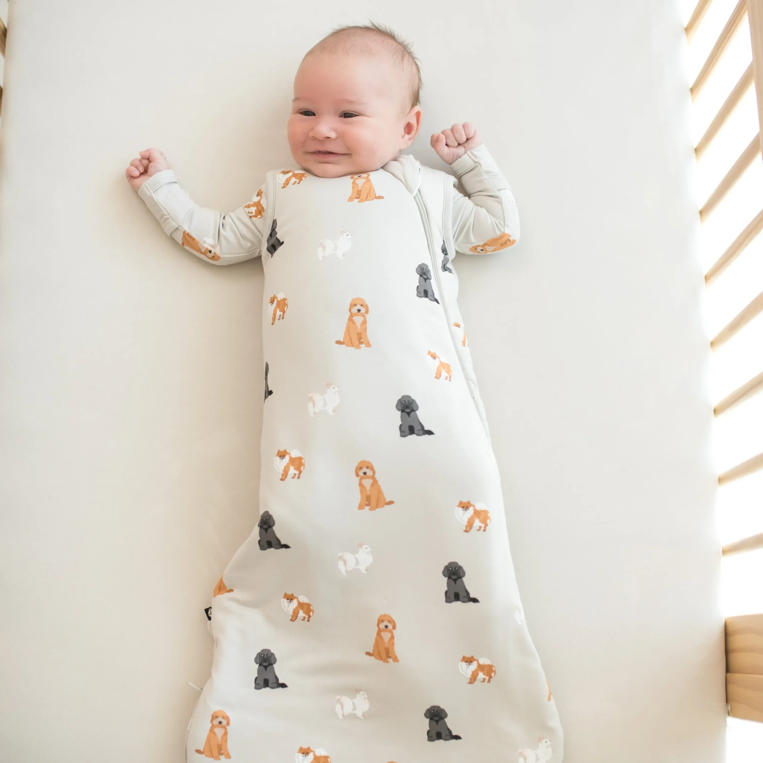 Kyte Baby Sleep Bag in 1.0 Fluffy Dog New