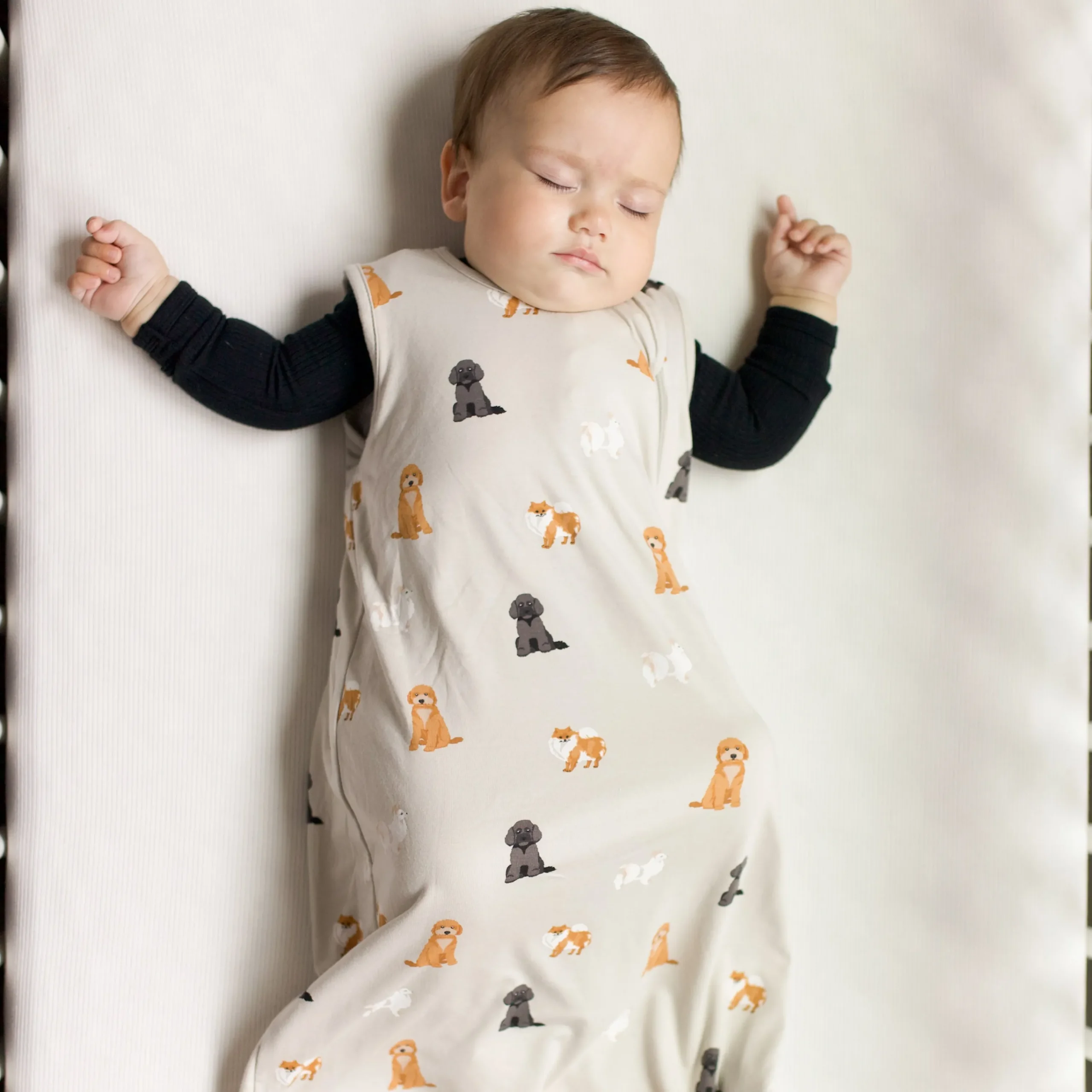 Kyte Baby Sleep Bag in 0.5 Fluffy Dog New