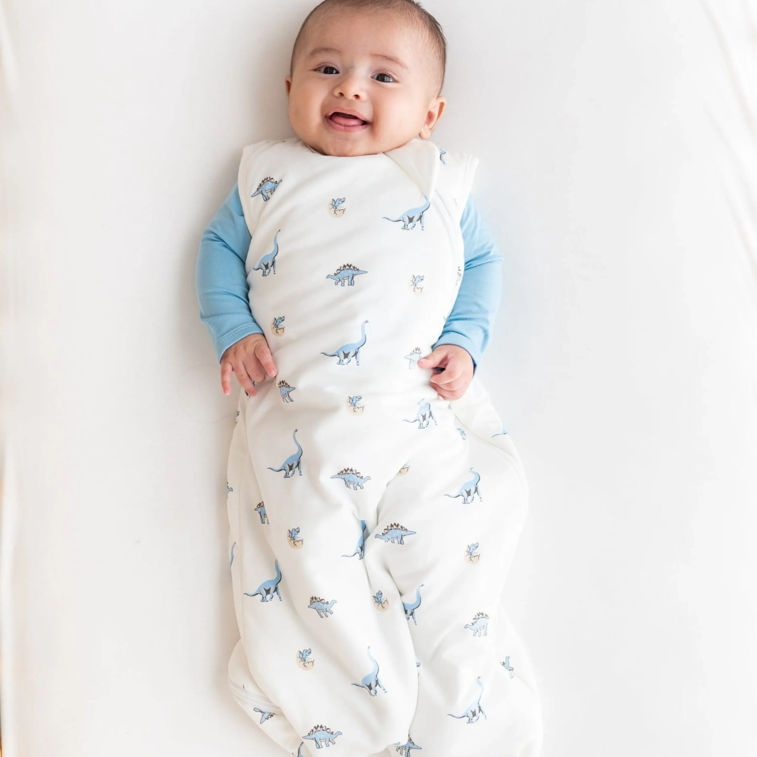 Kyte Baby Sleep Bag in 1.0 Jurassic