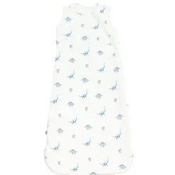 Kyte Baby Sleep Bag in 1.0 Jurassic