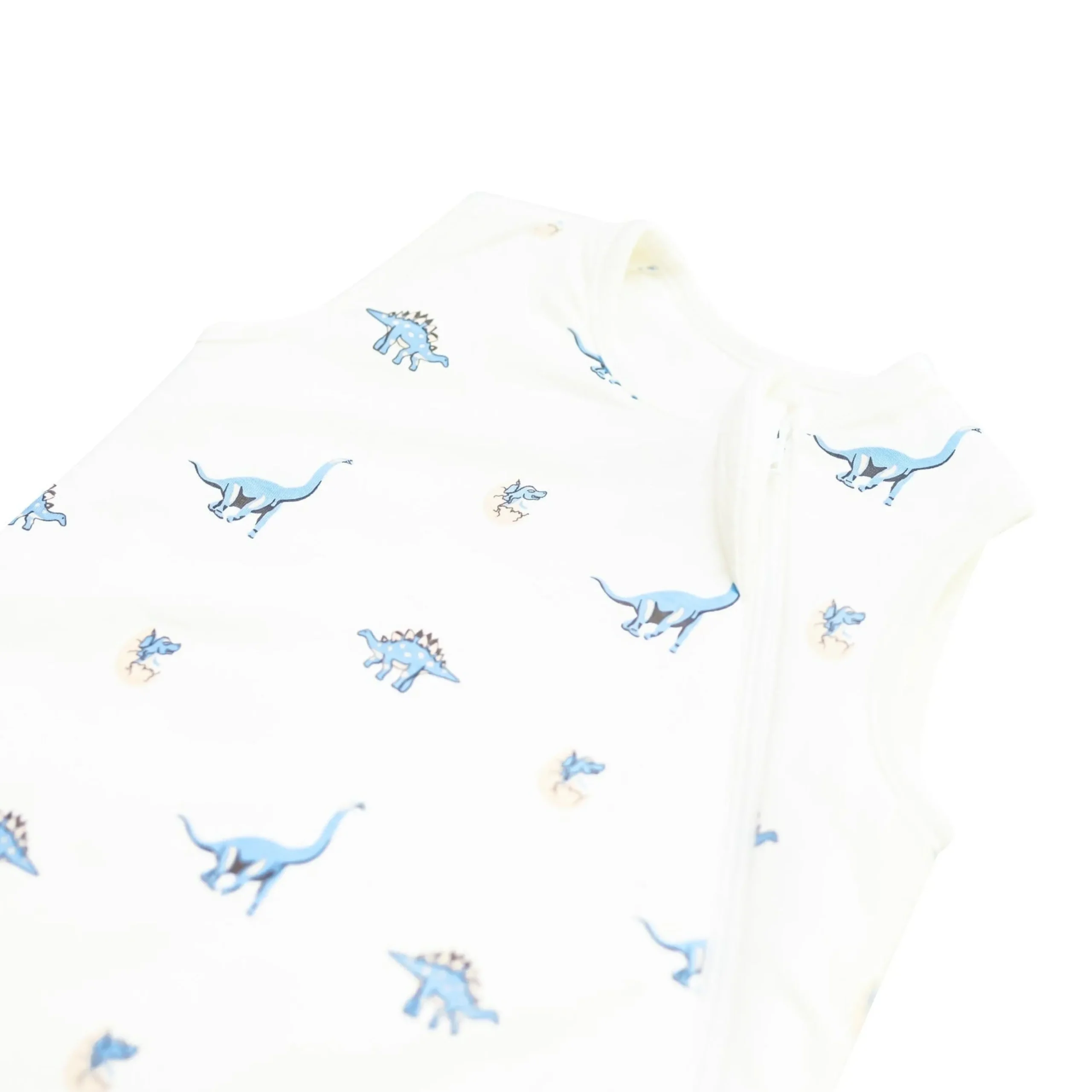 Kyte Baby Sleep Bag in 1.0 Jurassic