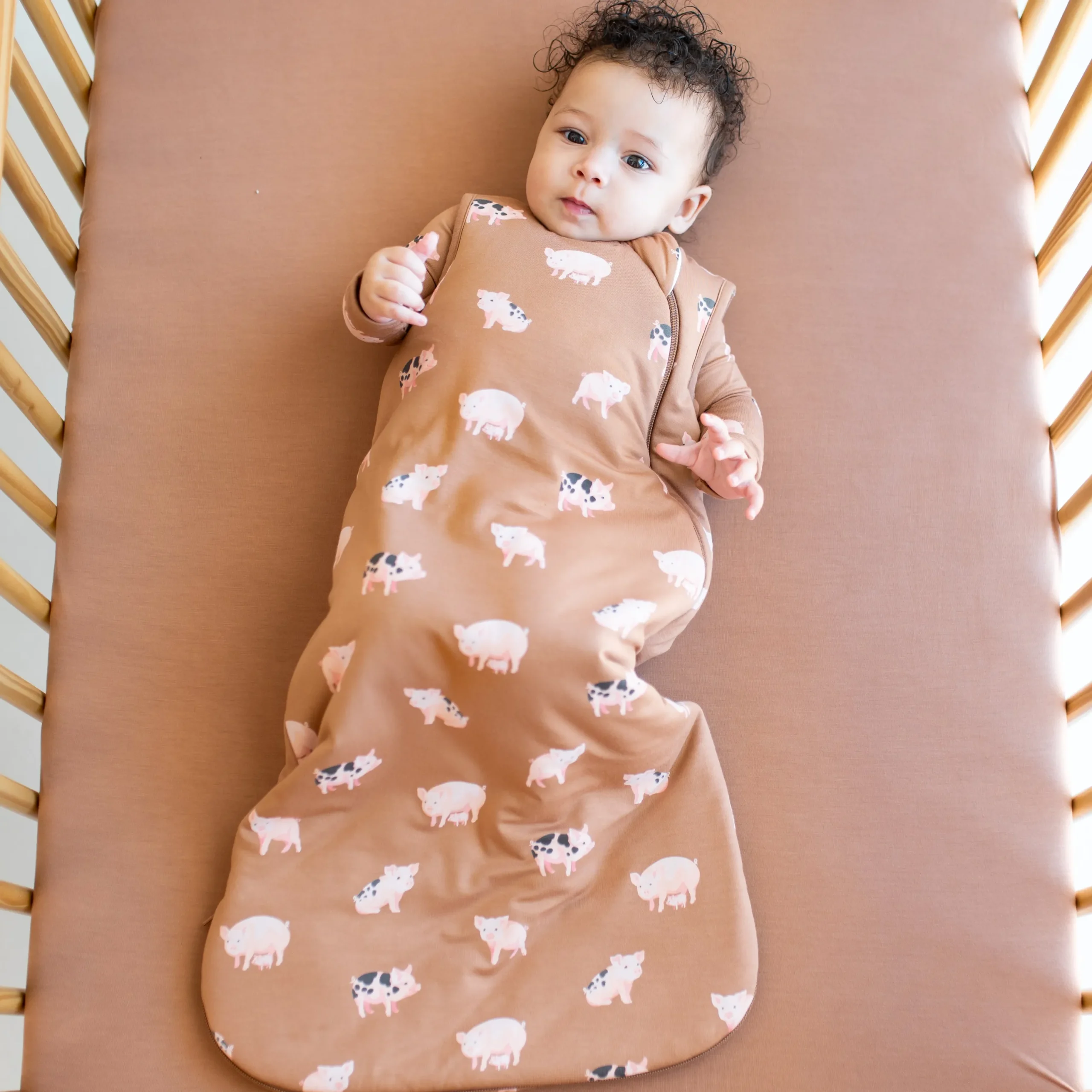 Kyte Baby Sleep Bag in 1.0 Pig New