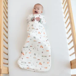 Kyte Baby Sleep Bag in 1.0 Road Trip New