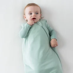 Kyte Baby Sleep Bag in 2.5 Sage Best