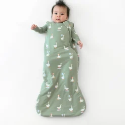 Kyte Baby Sleep Bag in 1.0 Silly Goose