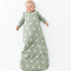 Kyte Baby Sleep Bag in 2.5 Silly Goose New