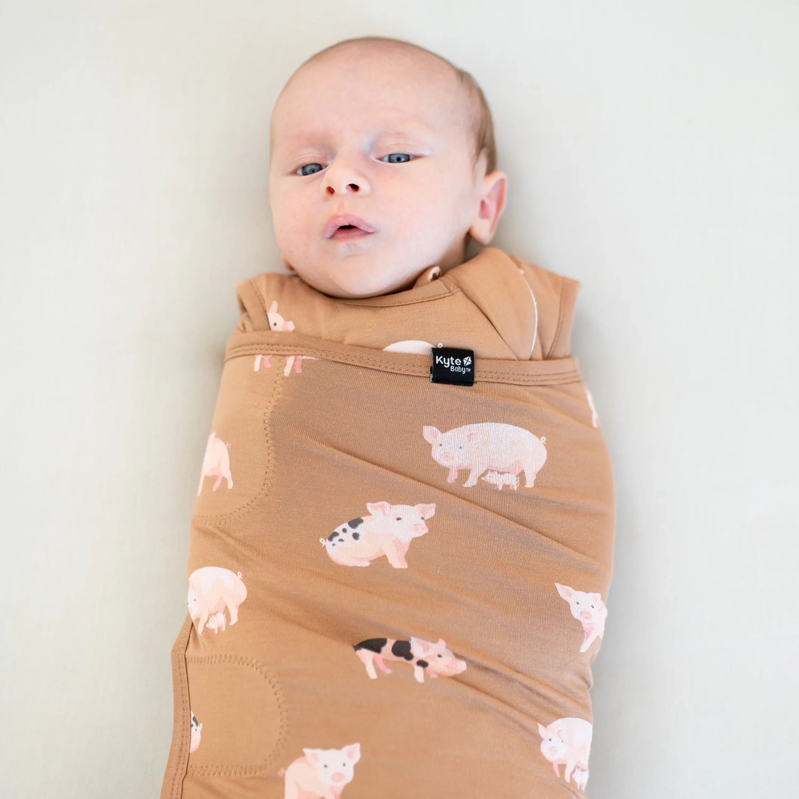 Kyte Baby Sleep Bag Swaddler in 1.0 Pig Outlet