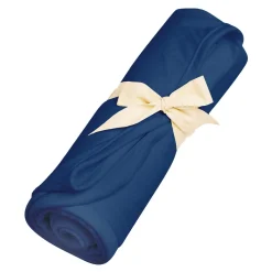 Kyte Baby Swaddle Blanket in Tahoe Clearance